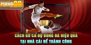 Cách gỡ cá độ bóng đá hiệu quả tại nhà cái để thành công