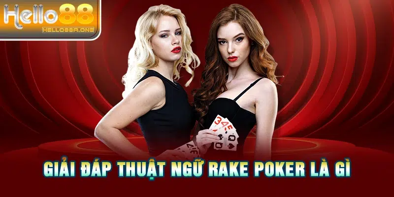 Giải đáp thuật ngữ Rake Poker là gì