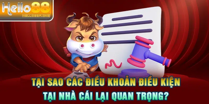 Tại sao các điều khoản điều kiện tại nhà cái lại quan trọng?